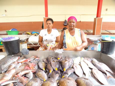 CABO VERDE : LOS PESCADORES DE LA ILHA DE SAO VICENTE CABO VERDE : LOS PESCADORES DE LA ILHA DE SAO VICENTE