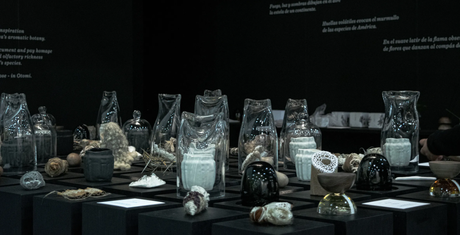 Velas Xinú – Zona Maco, CDMX / Esrawe + Cadena