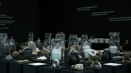 Velas Xinú – Zona Maco, CDMX / Esrawe + Cadena