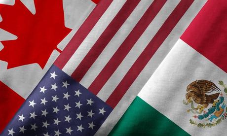 Max Elmann Arazi: 2023 el año de la consolidación del nearshoring