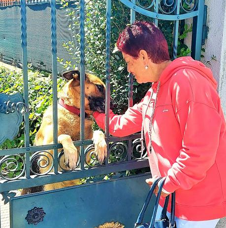 CUMPLEAÑOS FELIZ. CUMPLEAÑOS FELIZ.