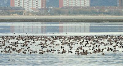 SILBONES EN SANTOÑA