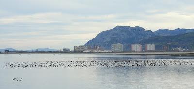 SILBONES EN SANTOÑA