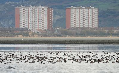 SILBONES EN SANTOÑA