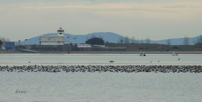 SILBONES EN SANTOÑA