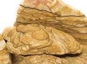 Jaspe Paisina
