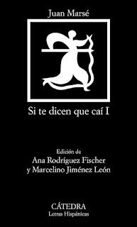 Reseña de Reseña dicen caí