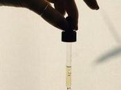 Aceites faciales para tener cuenta.