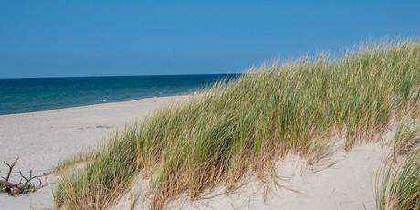 Las playas más hermosas de Holanda para 2023 (incl. fotos) améland