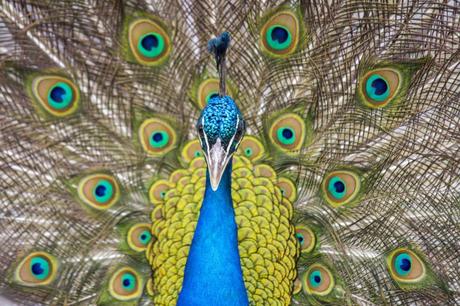 Consejos de jersey – Vacaciones en la isla más grande del Canal 2022 Consejos de jersey – Vacaciones en la isla más grande del Canal 2022