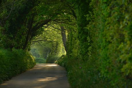 Consejos de jersey – Vacaciones en la isla más grande del Canal 2022 Consejos de jersey – Vacaciones en la isla más grande del Canal 2022