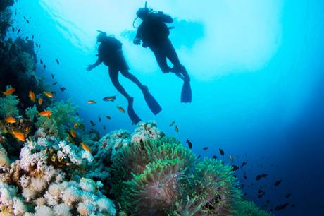 Buceo en Mallorca – Las mejores zonas de buceo en la popular isla de vacaciones 2022 Buceo en Mallorca – Las mejores zonas de buceo en la popular isla de vacaciones 2022