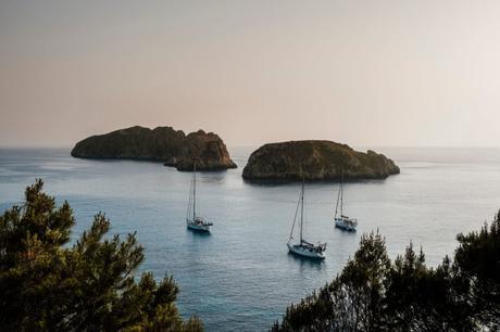 Buceo en Mallorca – Las mejores zonas de buceo en la popular isla de vacaciones 2022 Buceo en Mallorca – Las mejores zonas de buceo en la popular isla de vacaciones 2022