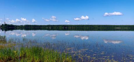 15 mejores cosas para hacer en Middleborough (MA) 15 mejores cosas para hacer en Middleborough (MA)