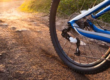 15 mejores cosas para hacer en Middleborough (MA) 15 mejores cosas para hacer en Middleborough (MA)