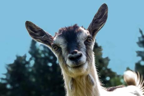 15 mejores cosas para hacer en Middleborough (MA) 15 mejores cosas para hacer en Middleborough (MA)