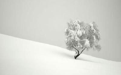 Una topología del frío