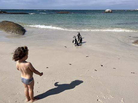 Las 10 mejores excursiones desde Ciudad del Cabo