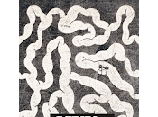 Mundo hormiga, Charlie Kaufman