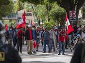 Perú llamas: víspera esperanza