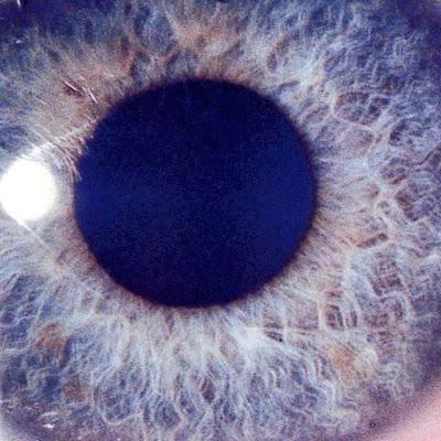 Efemérides del Rock y Heavy Metal: Qué pasó un 26 de Enero Efemérides del Rock y Heavy Metal: Qué pasó un 26 de Enero