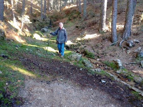 FUENTE DEL PIORNOLÓN FUENTE DEL PIORNOLÓN
