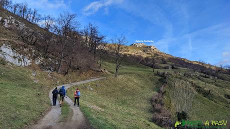 Pista entre los Prados de Pandiechu