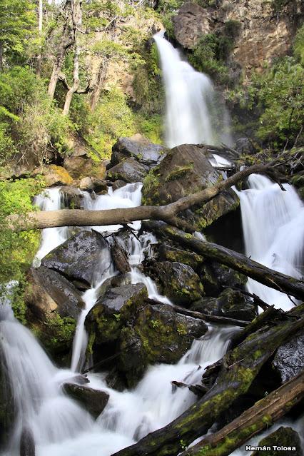 Parque Nacional Los Alerces (diciembre 2020) - parte 2