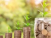 Cocinar Presupuesto Ajustado