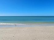 mejores playas Ámbito Island, Florida