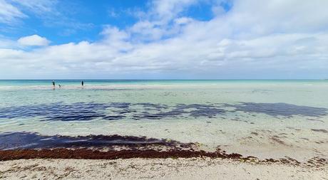 Playa Punta de las Rocas