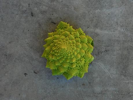 Una coliflor muy bonita. Una coliflor muy bonita.