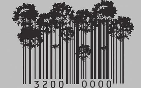 El Extractivismo como Cultura
