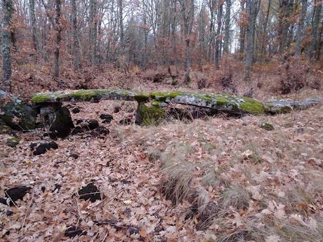 LAS HOJAS SECAS LAS HOJAS SECAS