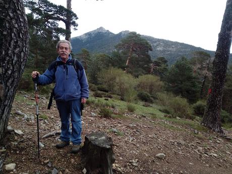 LAS HOJAS SECAS LAS HOJAS SECAS