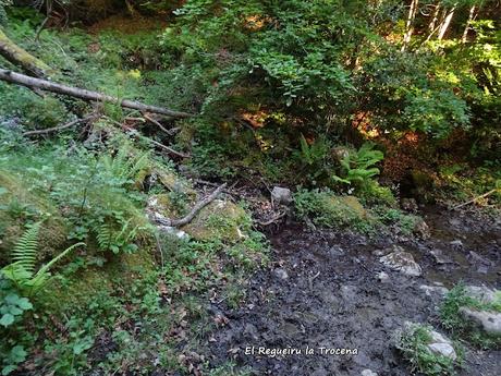 Ḷḷindes-Penarpín