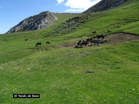 Ḷḷindes-Penarpín