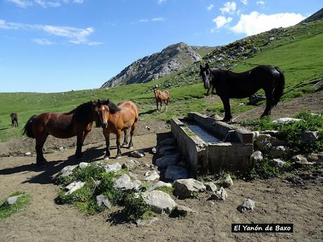 Ḷḷindes-Penarpín
