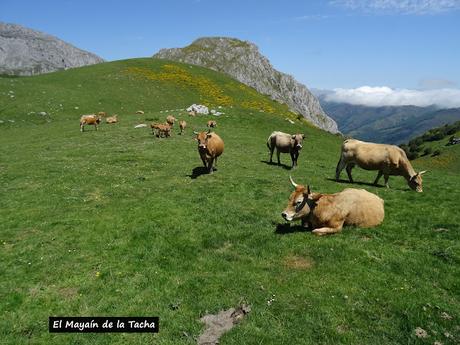 Ḷḷindes-Penarpín