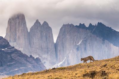 ¿Es posible gestionar mejor los centros de salud?     Is it possible to manage health centres better?     是否有可能更好地管理保健中心？