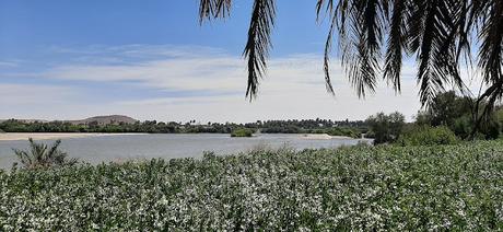 SUDÁN : EL TEMPLO DE SOLEB, SEDEINGA Y LA ISLA DE SAI SUDÁN : EL TEMPLO DE SOLEB, SEDEINGA Y LA ISLA DE SAI