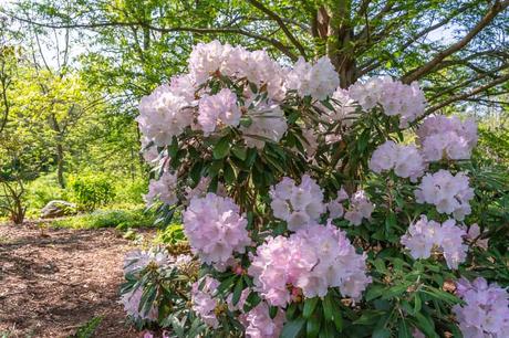 15 mejores cosas para hacer en Acton (Massachusetts) 15 mejores cosas para hacer en Acton (Massachusetts)