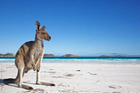 Lucky Bay