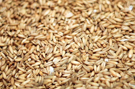 granos-enteros-de-avena