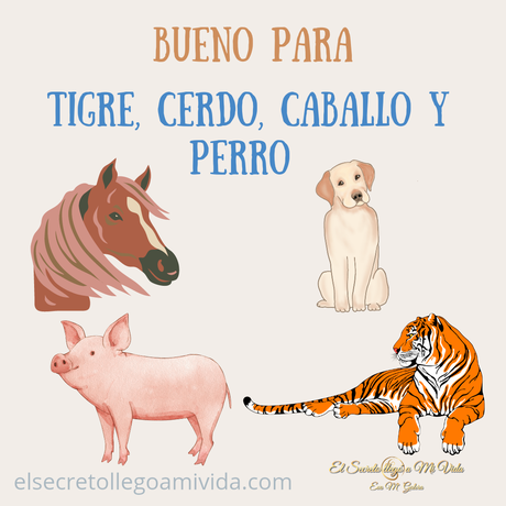 Mes del Tigre comienza 4 Febrero 2023