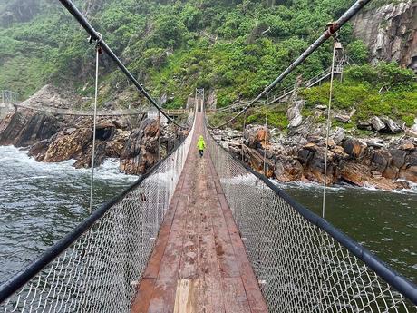 Con la Wild Card podrás cruzar los puentes colgantes de Tsitsikamma National Park.