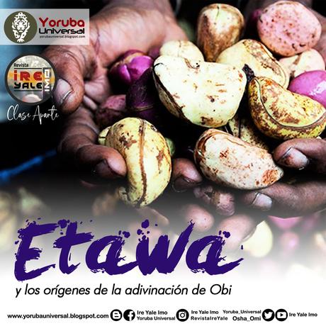 ¿Cómo es que el coco es un pecador vanidoso cuando habla en Etawa? Análisis de la caída Etawa y los orígenes de la adivinación de Obi