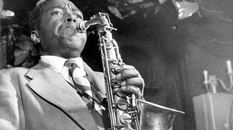 Parkeriana bufa 3 (con Neil Young)