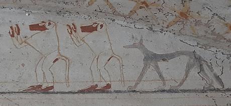 SUDÁN : EL KURRU Y LAS PIRÁMIDES DE NURI SUDÁN : EL KURRU Y LAS PIRÁMIDES DE NURI