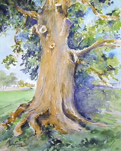 Acuarelas y explicaciones. Aniversario del blog.